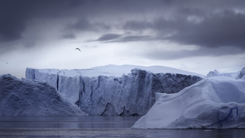 Dark ice
